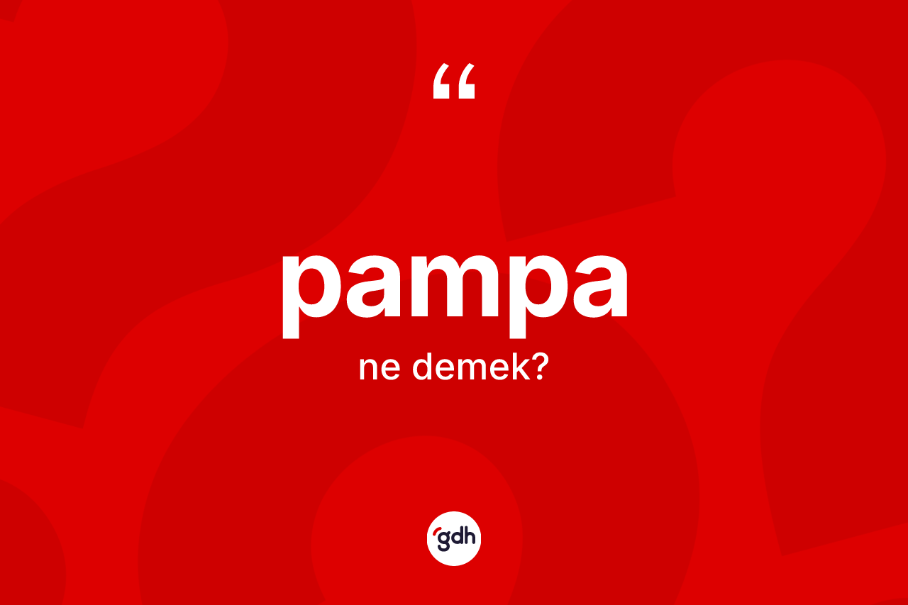 Pampa kelimesinin sözlükteki tanımı nedir? Pampa kelimesinin özellikleri nelerdir?