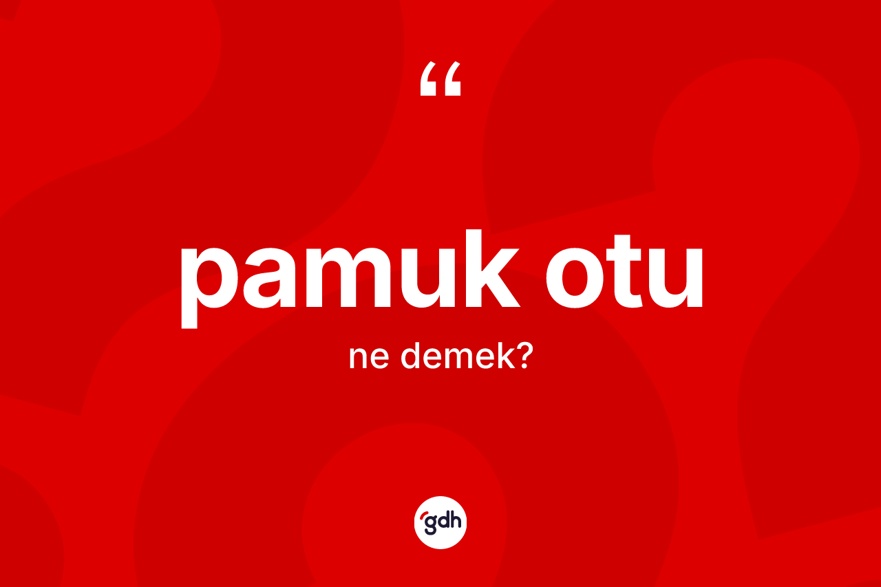 Pamuk otu kelimesinin sözlükteki tanımı nedir?
