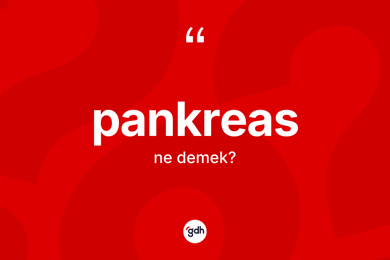 Pankreas kelimesi nedir?