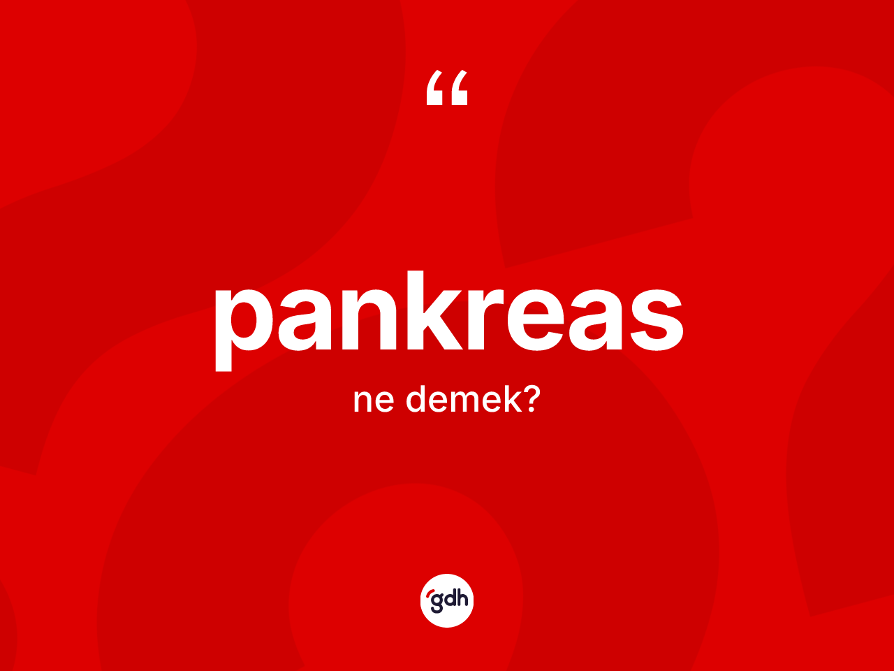 Pankreas kelimesi nedir? Pankreas kelimesinin özellikleri nelerdir?