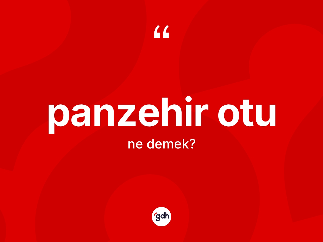 Panzehir otu kelimesinin anlamı nedir? Panzehir otunun halk arasındaki kullanımı nasıldır?