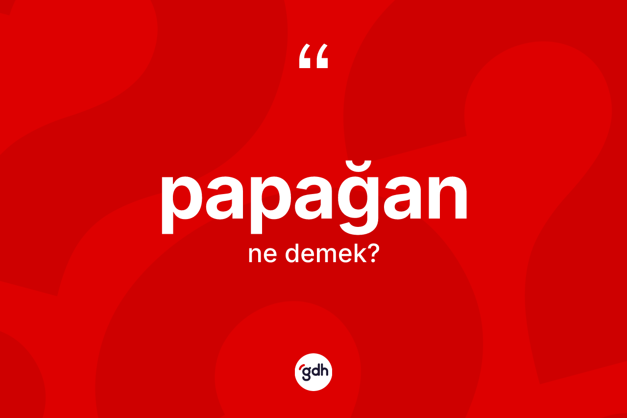 Papağan ne demek?