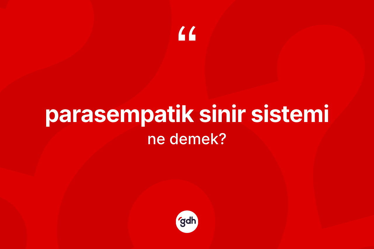 Parasempatik sinir sistemi kelimesi ne anlama gelir?