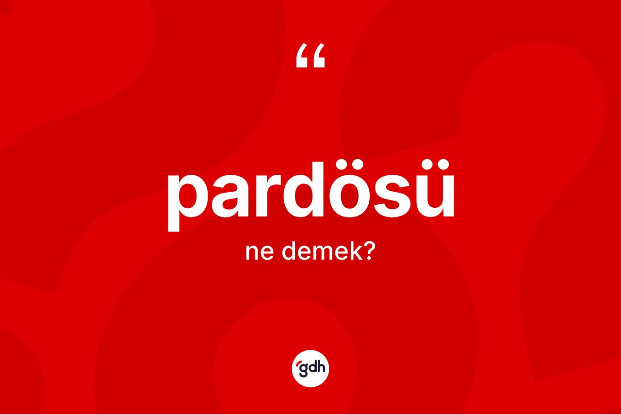 Pardösü kelimesinin anlamı nedir? Pardösünün TDK'ya göre anlamı nedir?