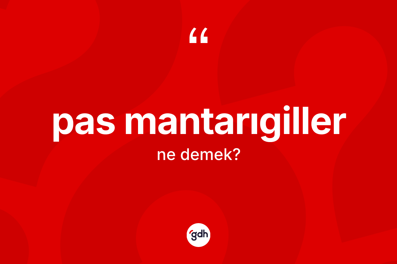Pas mantarıgiller kelimesi nedir?