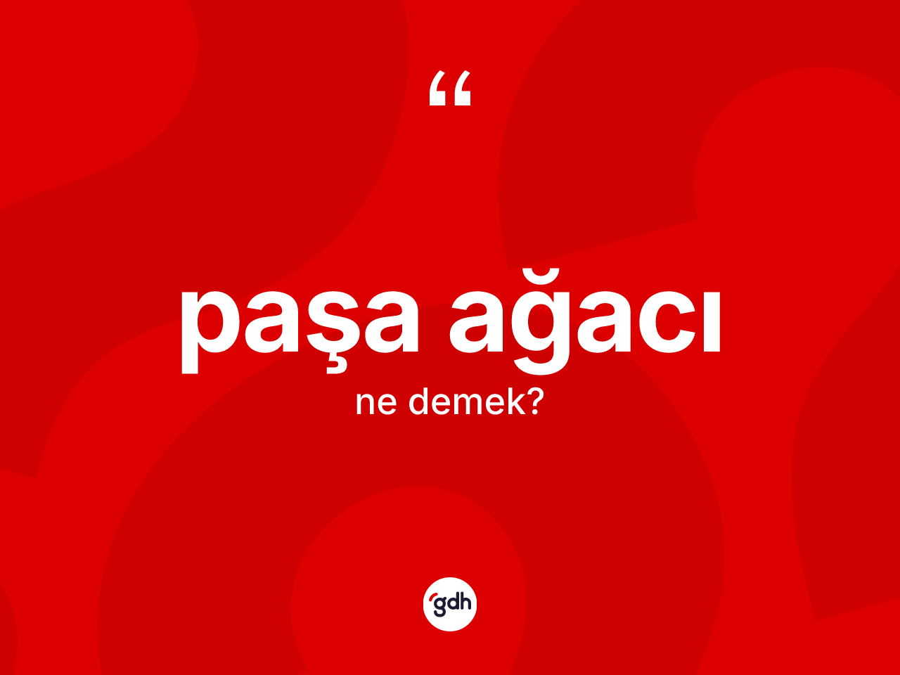 Paşa ağacı kelimesinin tanımı nedir? Paşa ağacının sözlükteki anlamı nedir?