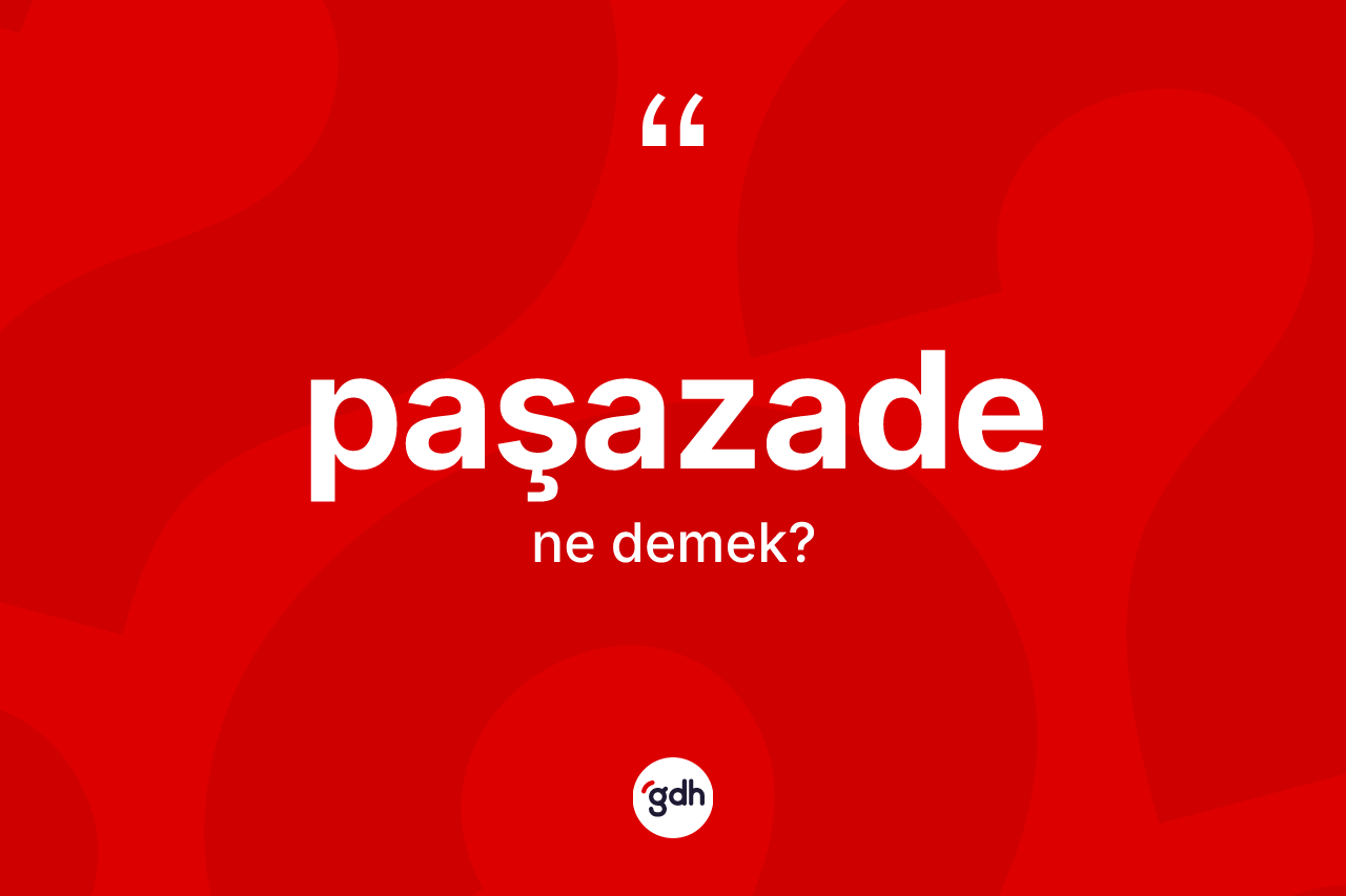 Paşazade kelimesinin sözlükteki tanımı nedir?