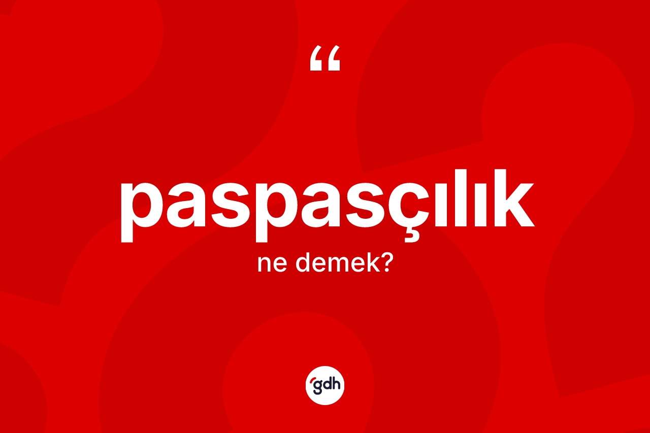 Paspasçılık ne anlama gelir? Paspasçılık kelimesinin TDK anlamı nedir?