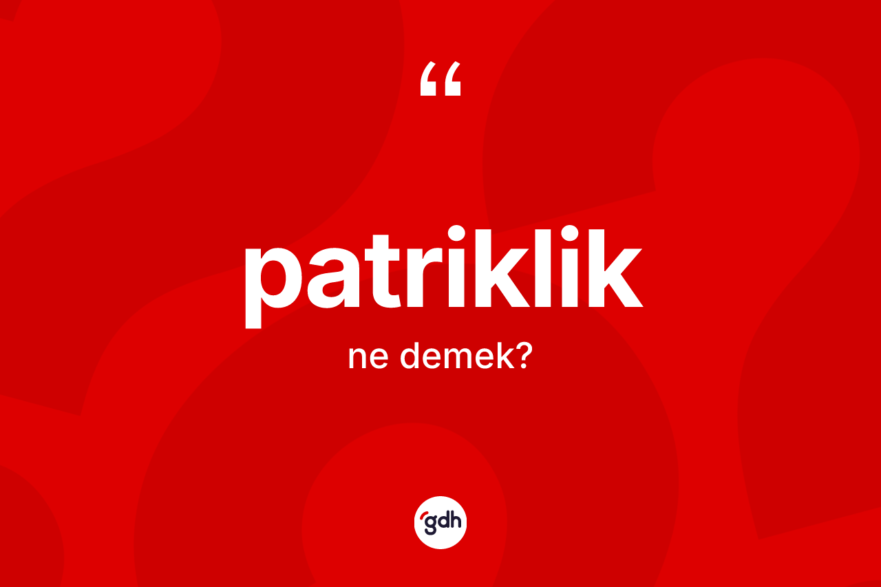 Patriklik kelimesinin sözlükteki tanımı nedir? Patriklik kelimesinin TDK'ya göre açıklaması nedir?