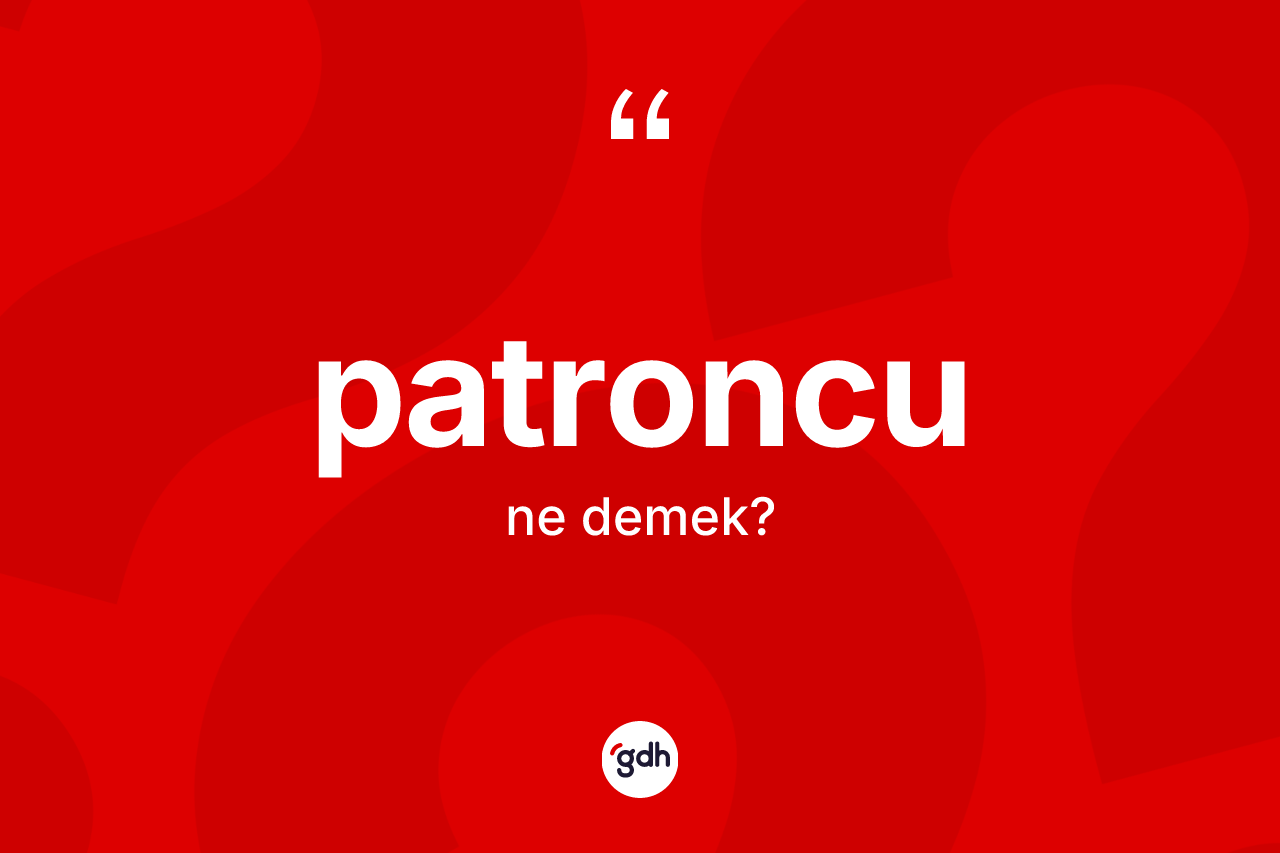 Patroncu kelimesinin sözlükteki tanımı nedir?