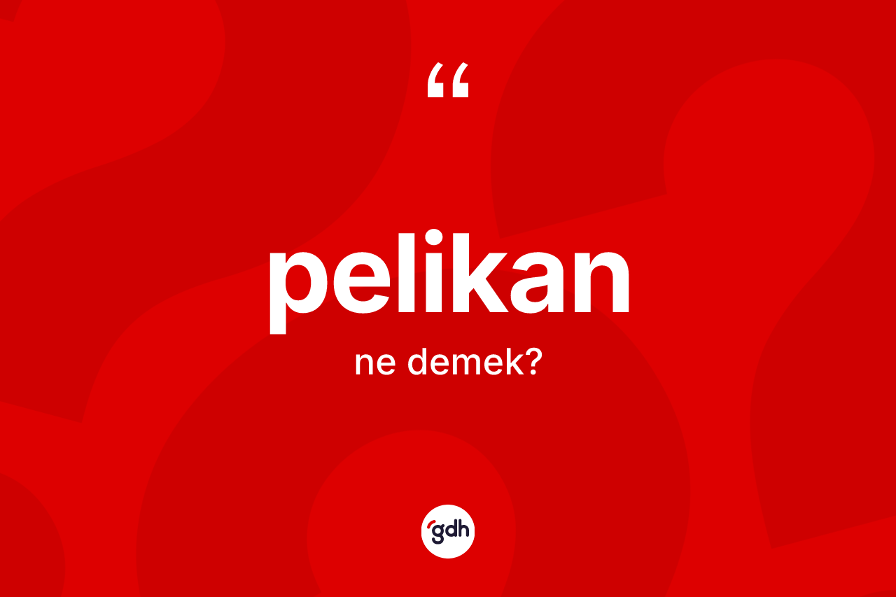 Pelikan kelimesinin sözlükteki tanımı nedir? Pelikan kelimesinin kaç farklı anlamı var?