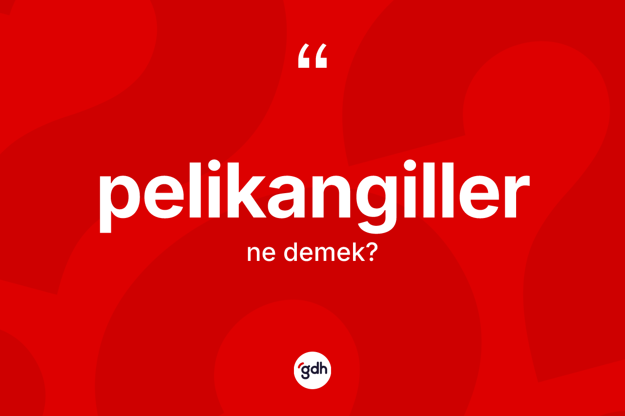 Pelikangiller kelimesinin anlamı nedir? Pelikangillerin TDK'ya göre anlamı nedir?