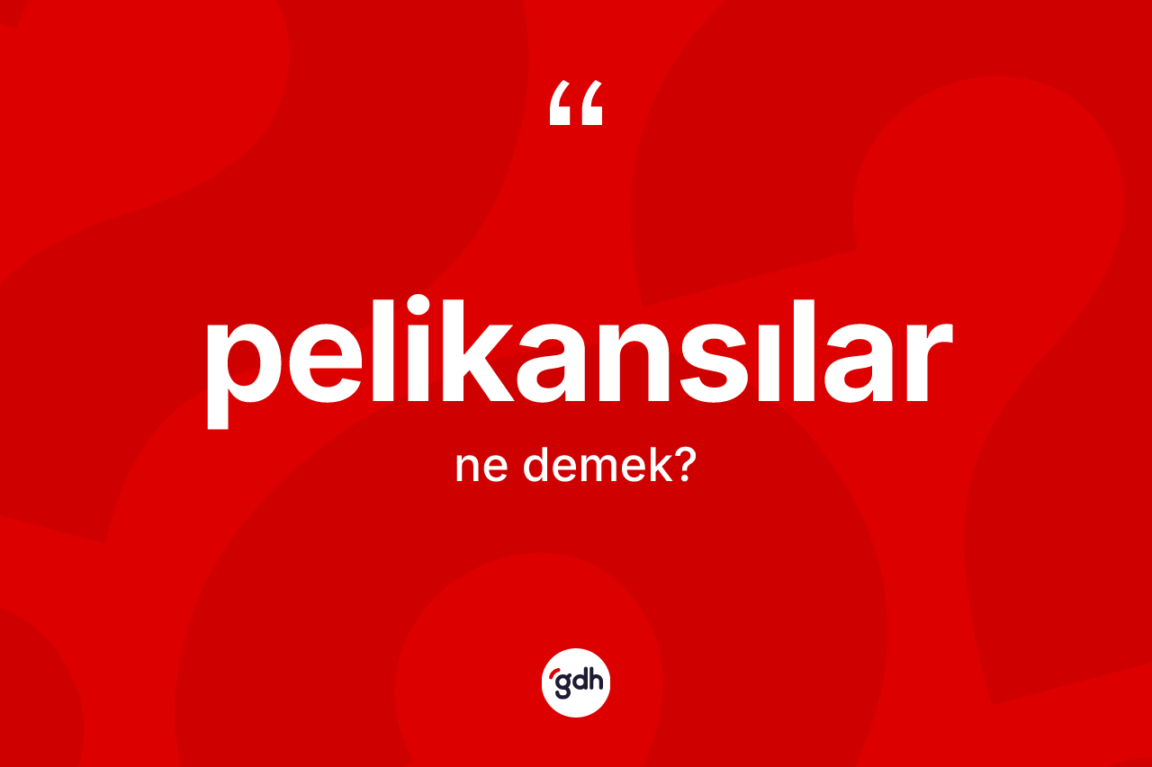 Pelikansılar kelimesinin tanımı nedir?