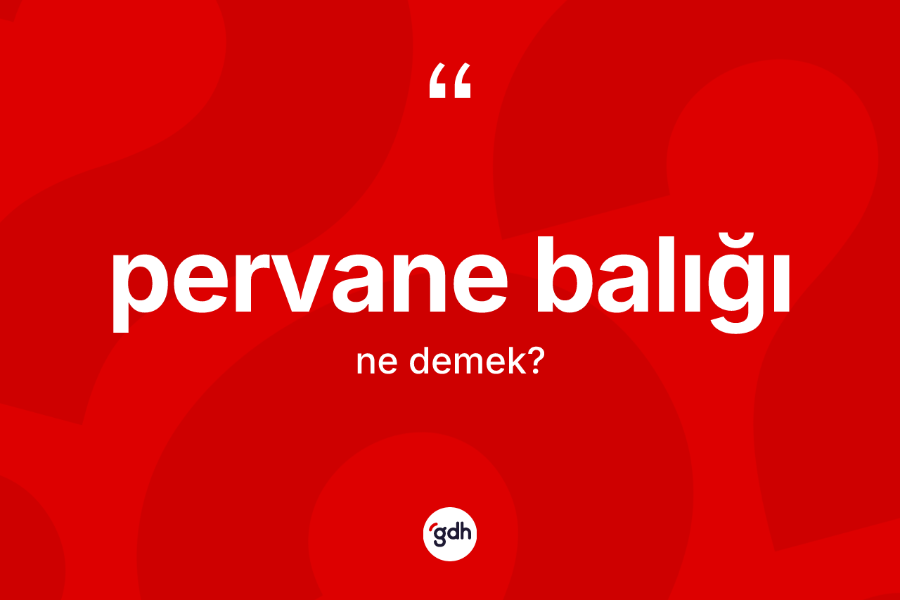 Pervane balığı kelimesinin sözlükteki tanımı nedir? Pervane balığının TDK'ya göre anlamı nedir?
