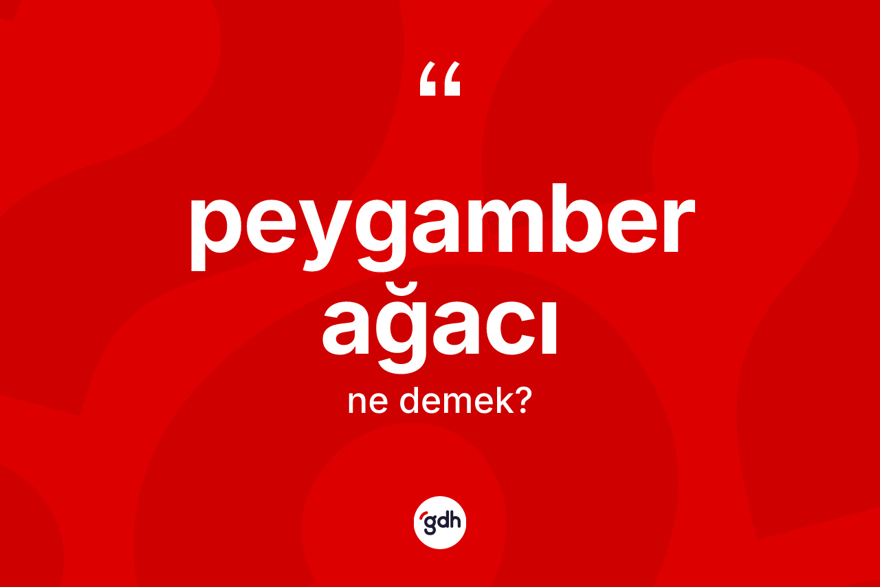 Peygamber ağacı kelimesi nedir? Peygamber ağacının kısaca tanımı nedir?