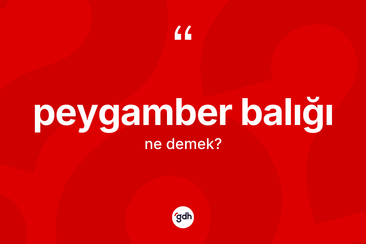 Peygamber balığı kelimesinin anlamı nedir? Peygamber balığının TDK'ya göre anlamı nedir?