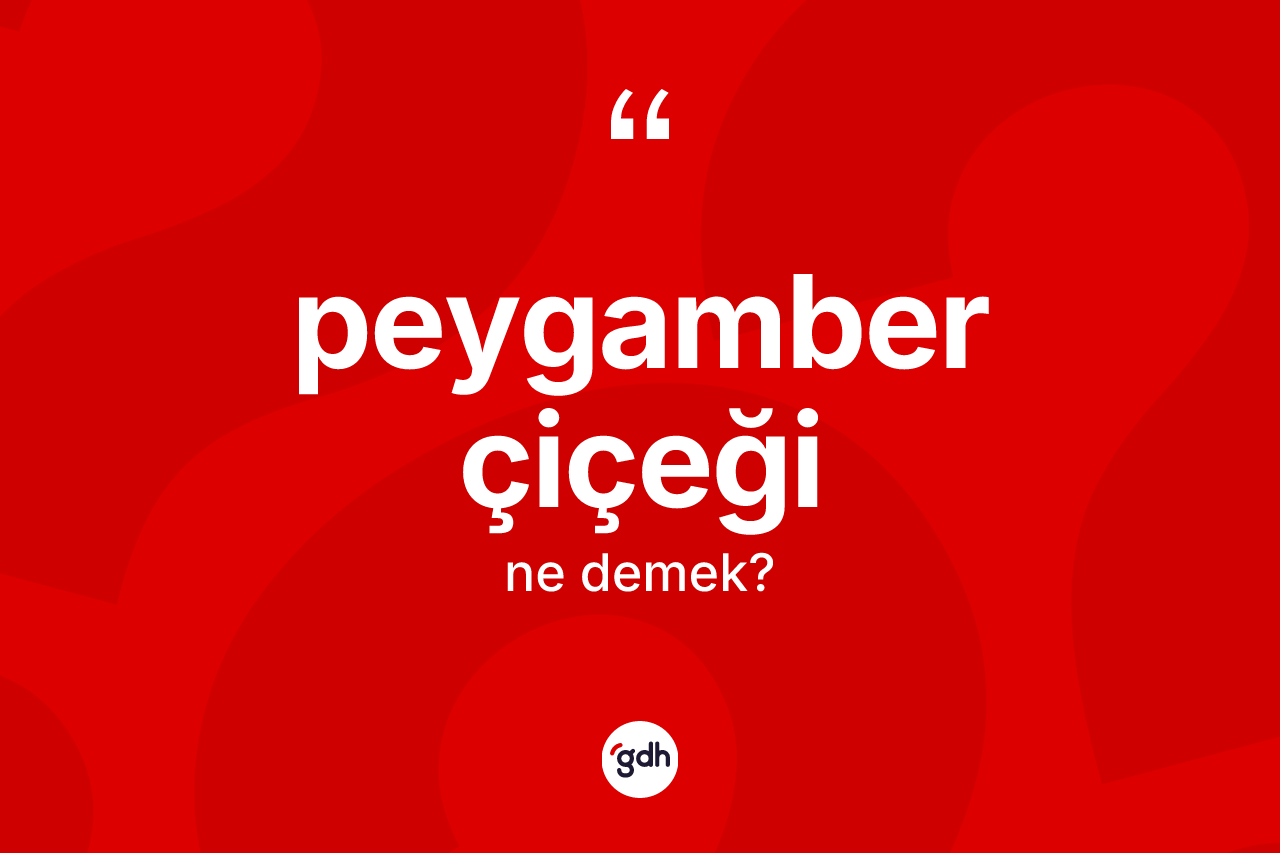 Peygamber çiçeği kelimesinin sözlükteki tanımı nedir? Peygamber çiçeğinin TDK'ya göre anlamı nedir?