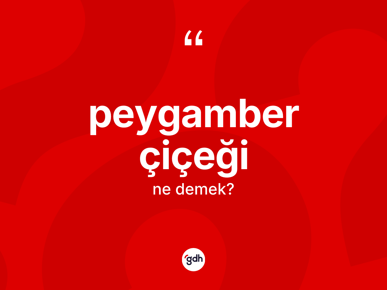 Peygamber çiçeği kelimesinin sözlükteki tanımı nedir? Peygamber çiçeğinin TDK'ya göre anlamı nedir?