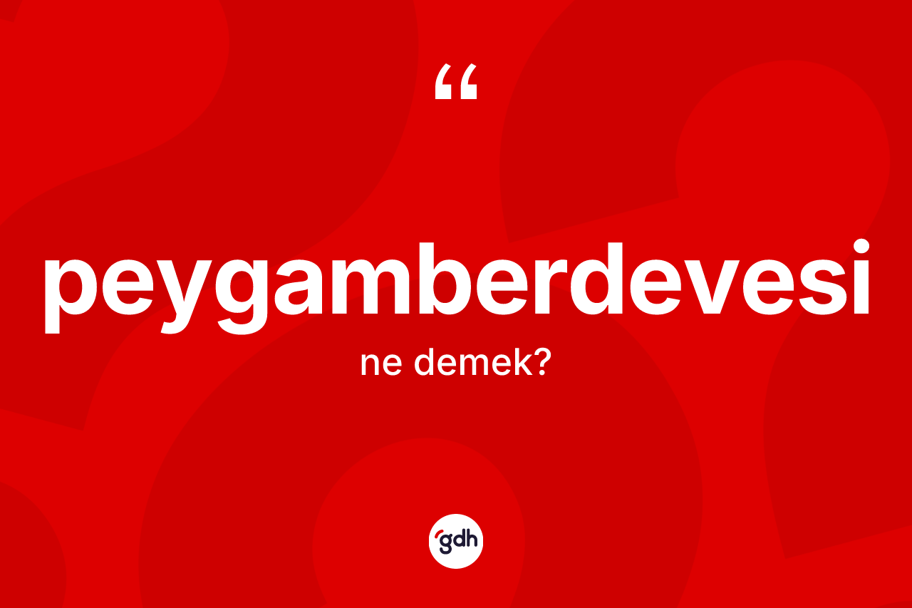 Peygamberdevesi ne demek?