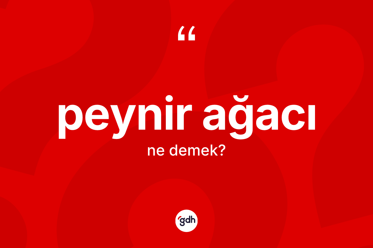 Peynir ağacı kelimesinin tanımı nedir? Peynir ağacı kelimesinin TDK'ya göre açıklaması nedir?