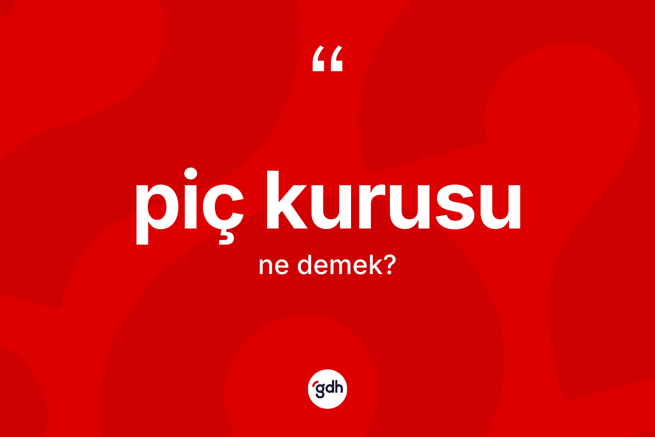 Piç kurusu kelimesinin anlamı nedir? Piç kurusunun halk arasındaki kullanımı nasıldır?