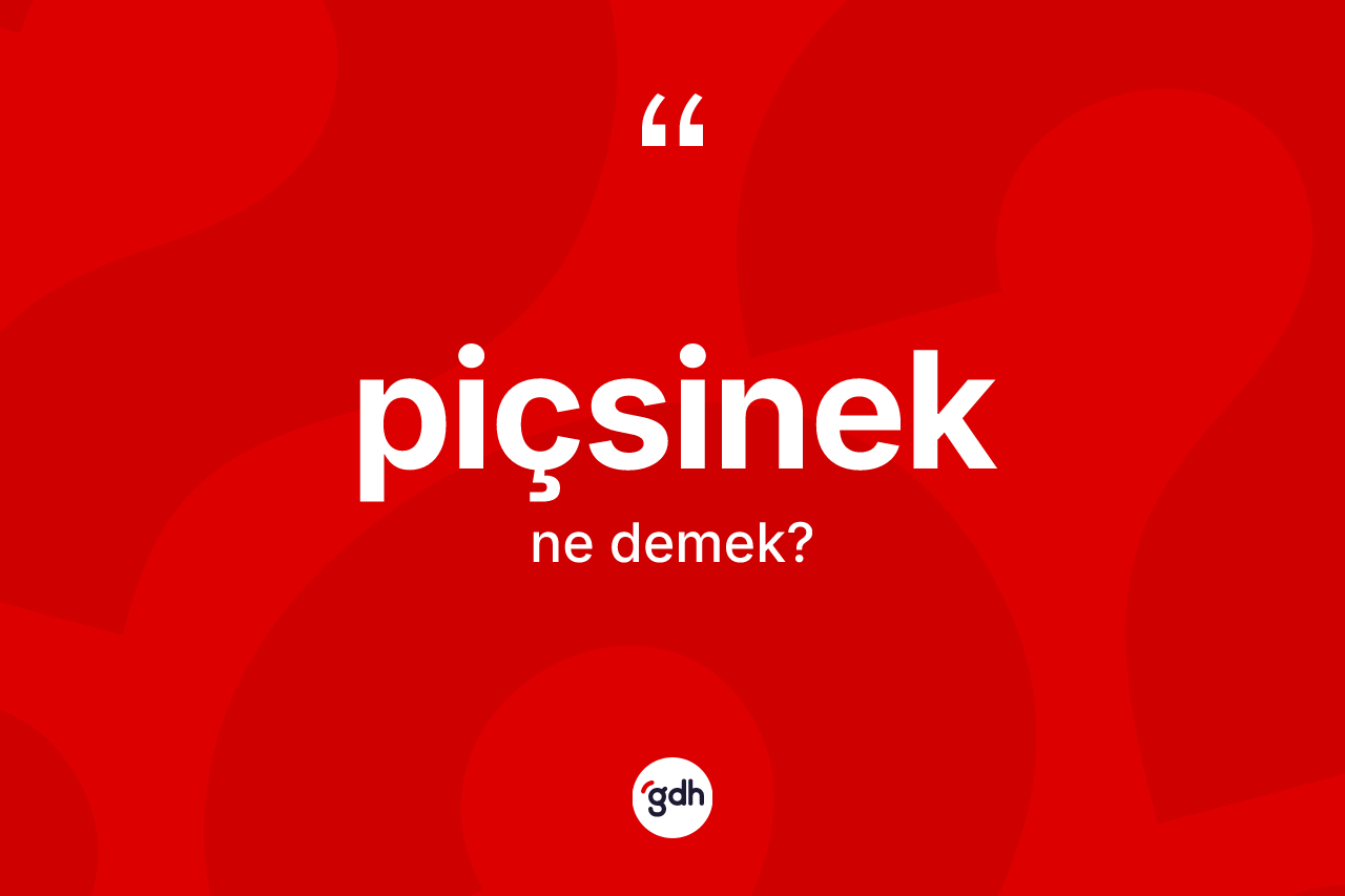 Piçsinek kelimesi nedir? Piçsineğin kısaca tanımı nedir?
