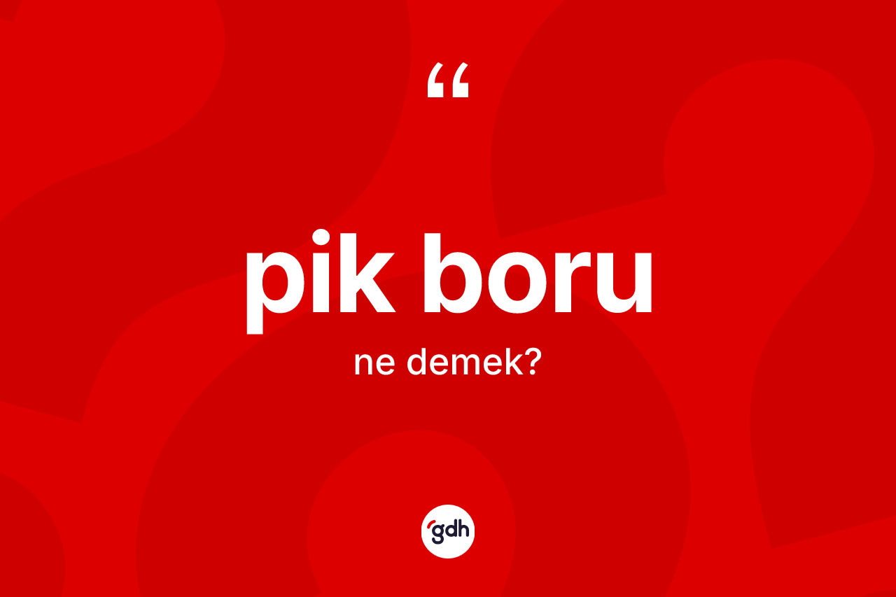 Pik boru kelimesi ne demek?