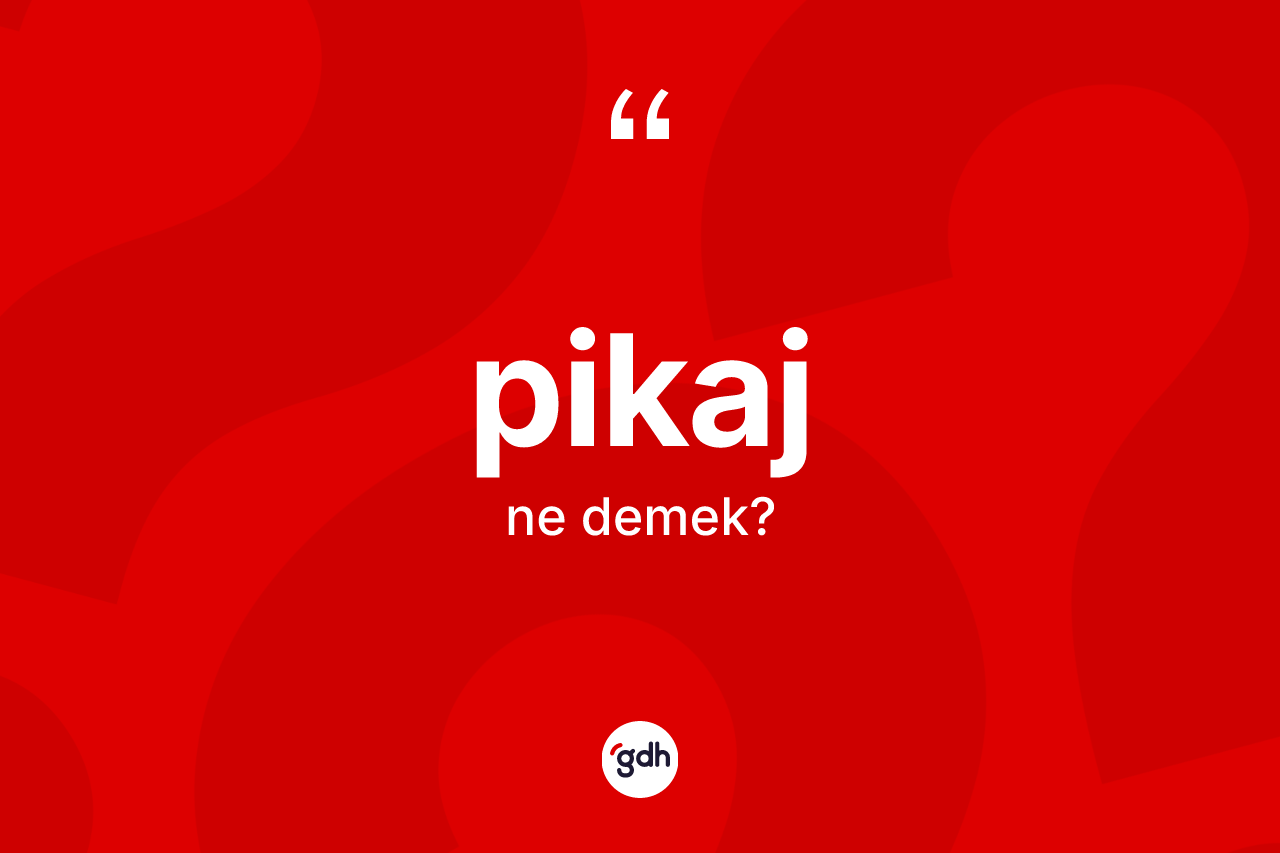 Pikaj nedir? Pikajın sözlükteki anlamı nedir?