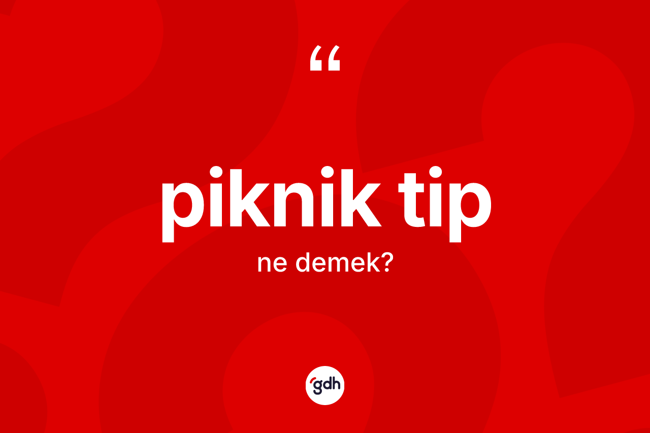 Piknik tip kelimesi ne anlama gelir? Piknik tip kelimesinin TDK anlamı nedir?