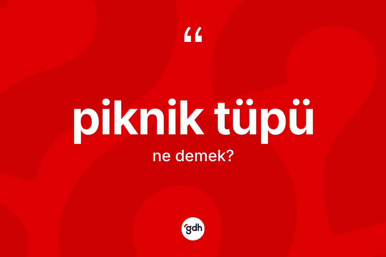 Piknik tüpü kelimesinin anlamı nedir? Piknik tüpü kelimesinin TDK'ya göre açıklaması nedir?