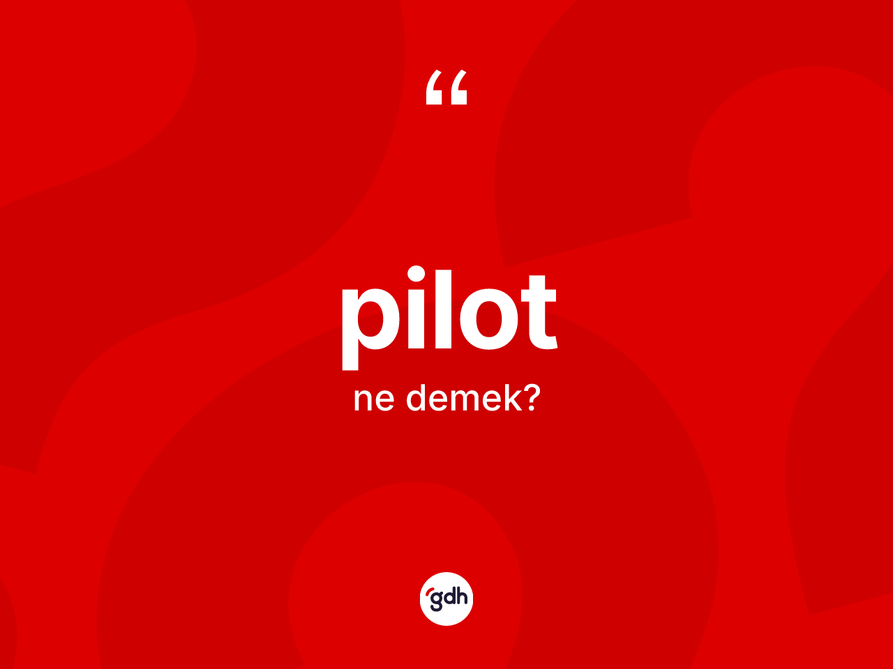 Pilot kelimesi ne demek? Pilot kelimesinin TDK'ya göre açıklaması nedir?
