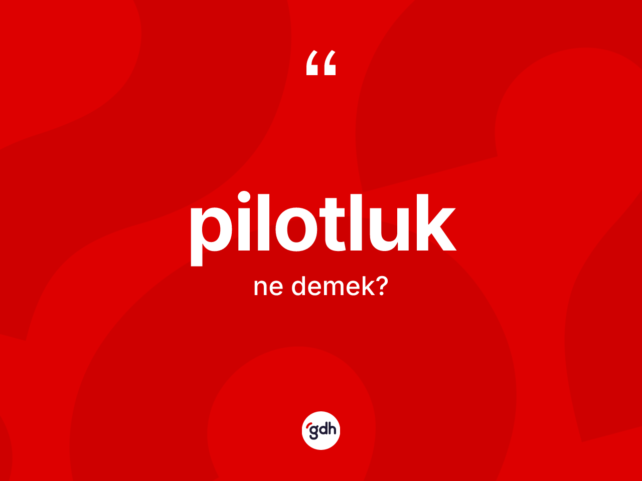 Pilotluk kelimesinin anlamı nedir? Pilotluğun TDK'ya göre anlamı nedir?