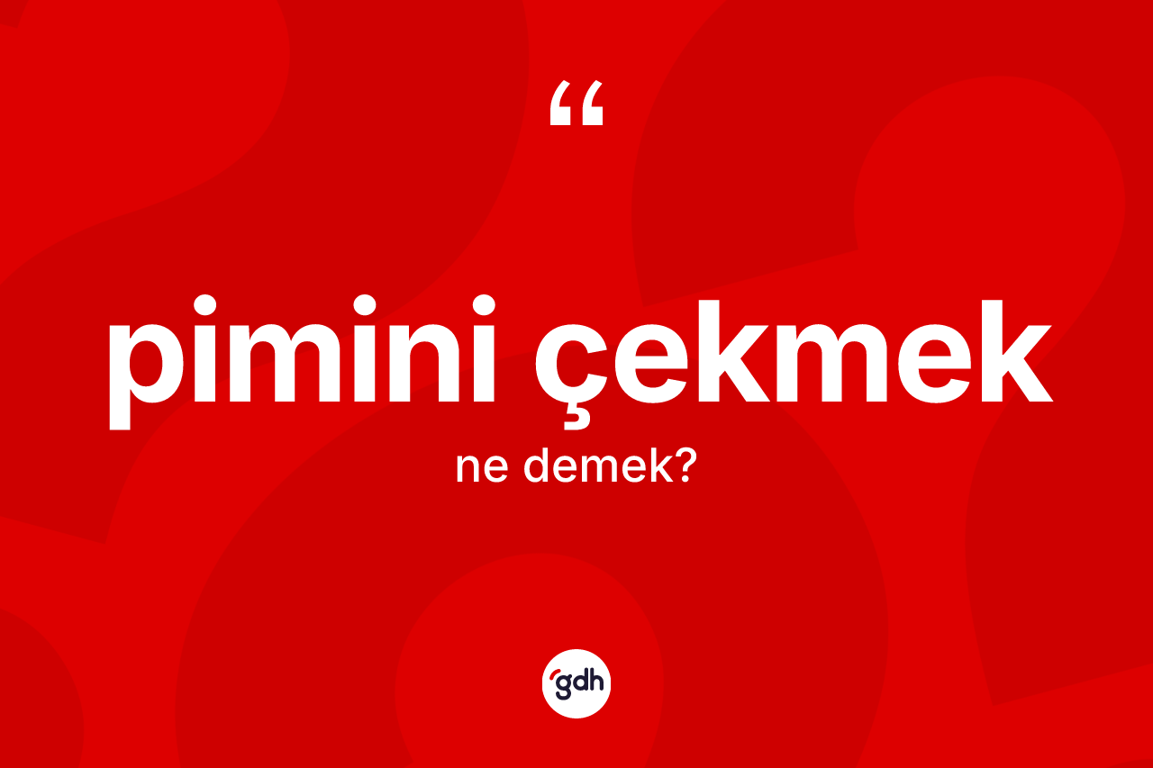 Pimini çekmek ne demek? Pimini çekmek ifadesi nerede kullanılır?