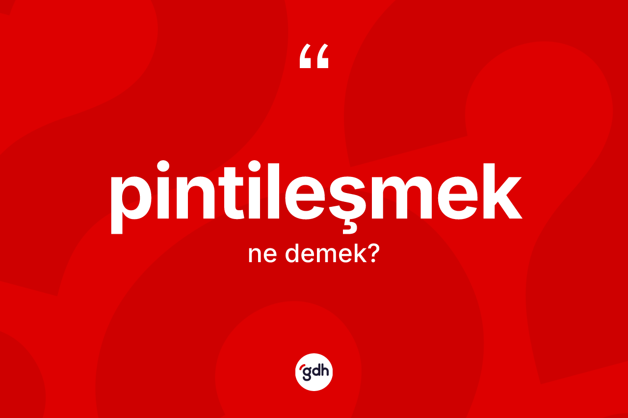 Pintileşmek kelimesinin anlamı nedir? Pintileşmek kelimesinin özellikleri nelerdir?