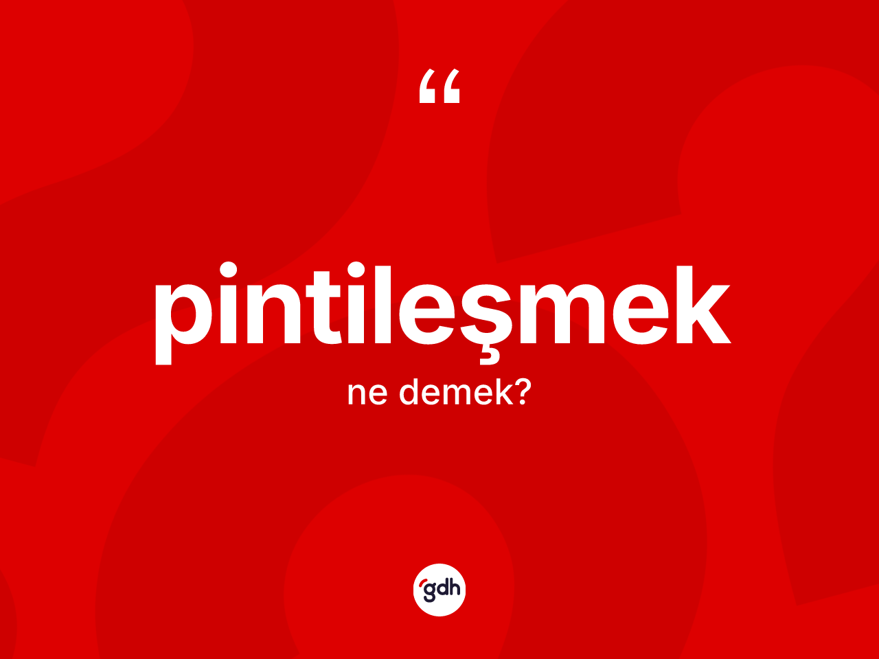Pintileşmek kelimesinin anlamı nedir? Pintileşmek kelimesinin özellikleri nelerdir?
