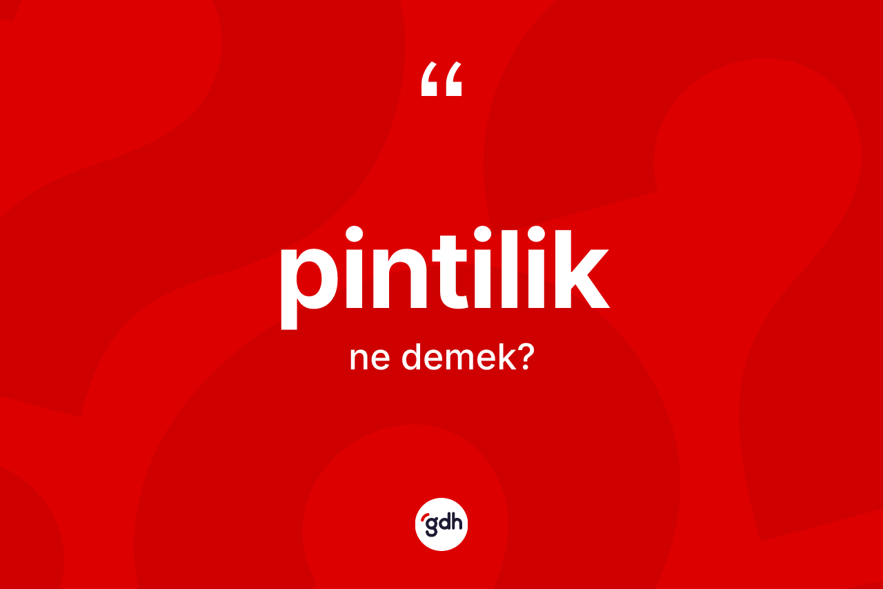 Pintilik kelimesi nedir? Pintiliğin kısaca tanımı nedir?