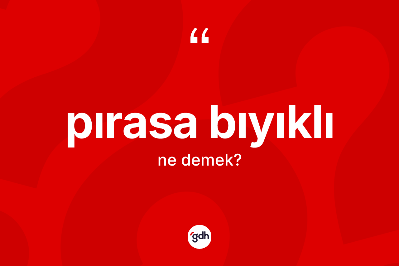 Pırasa bıyıklı kelimesi ne anlama gelir?