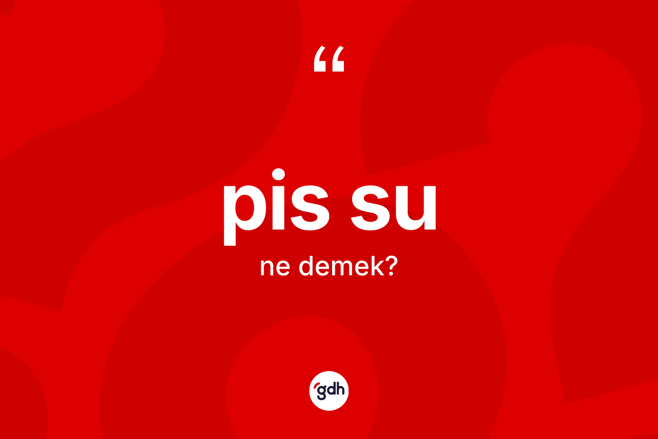 Pis su kelimesi ne anlama gelir? Pis sunun sözlükteki anlamı nedir?