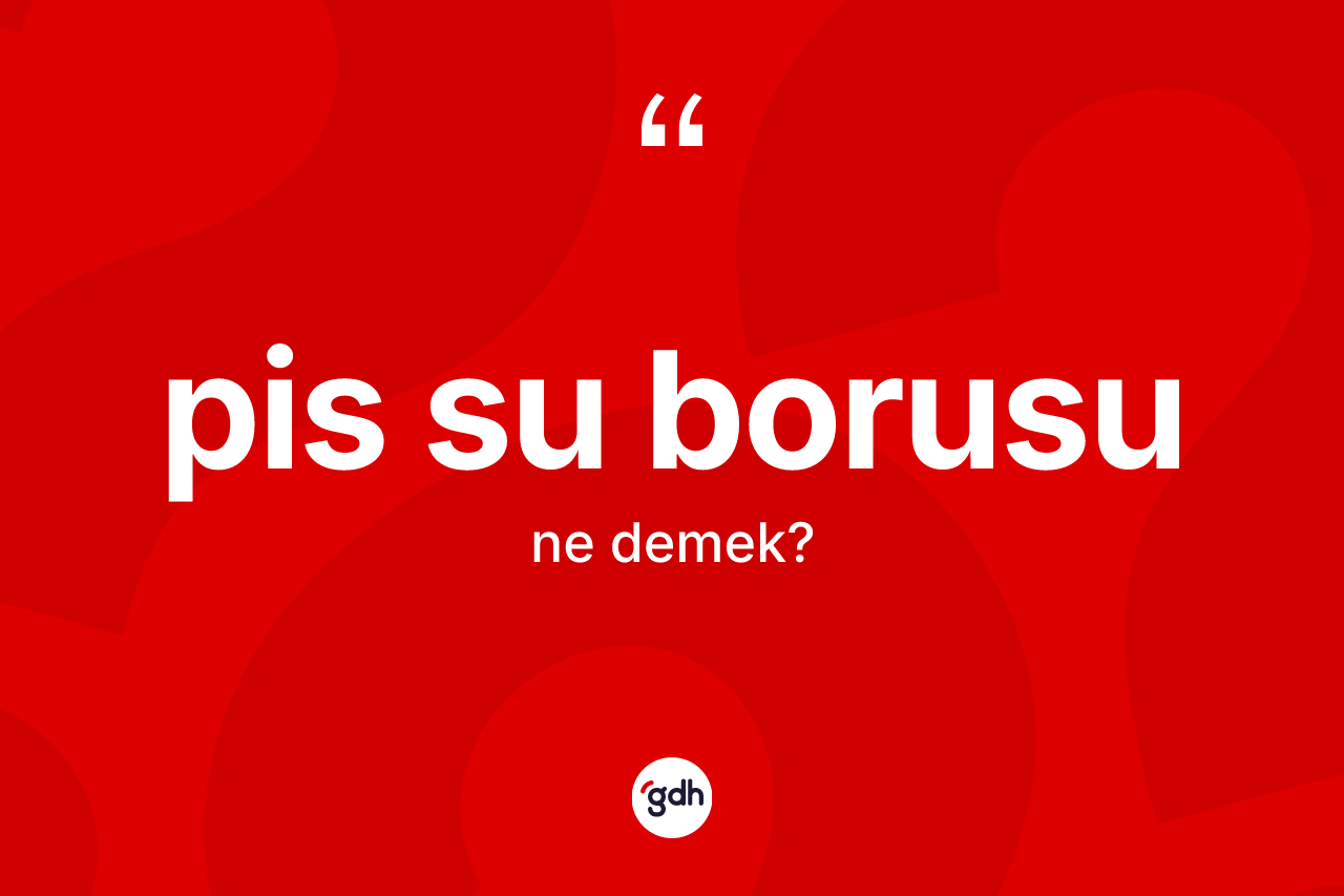 Pis su borusu ne demek? Pis su borusunun halk arasındaki kullanımı nasıldır?
