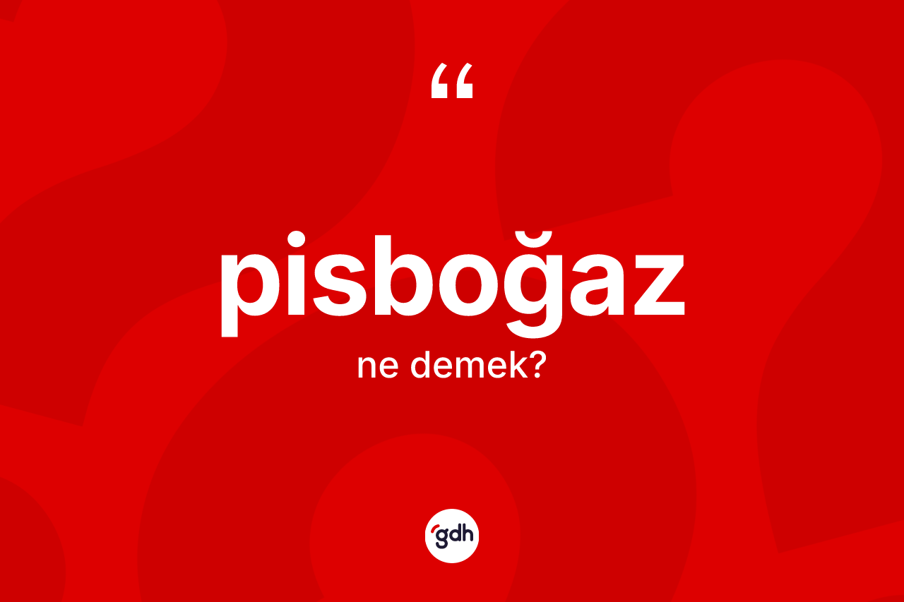Pisboğaz kelimesi nedir? Pisboğaz kelimesinin kaç farklı anlamı var?