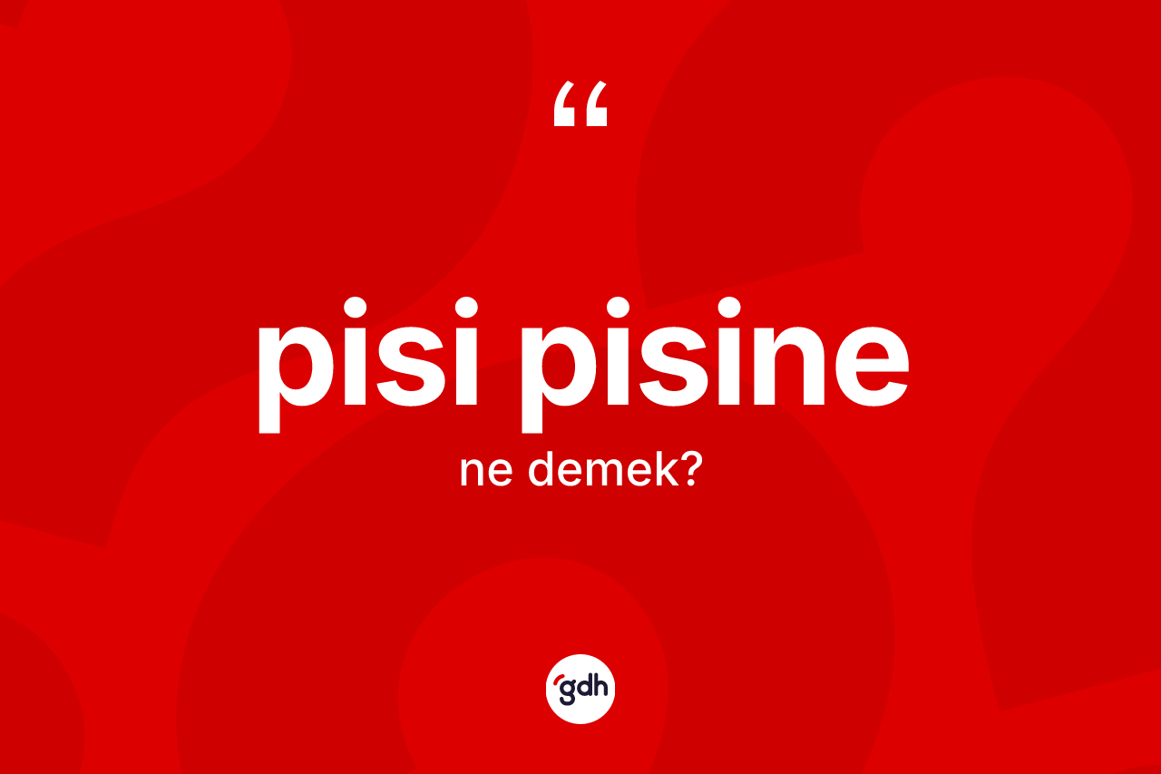 Pisi pisine kelimesinin sözlükteki tanımı nedir? Pisi pisinenin TDK'ya göre anlamı nedir?
