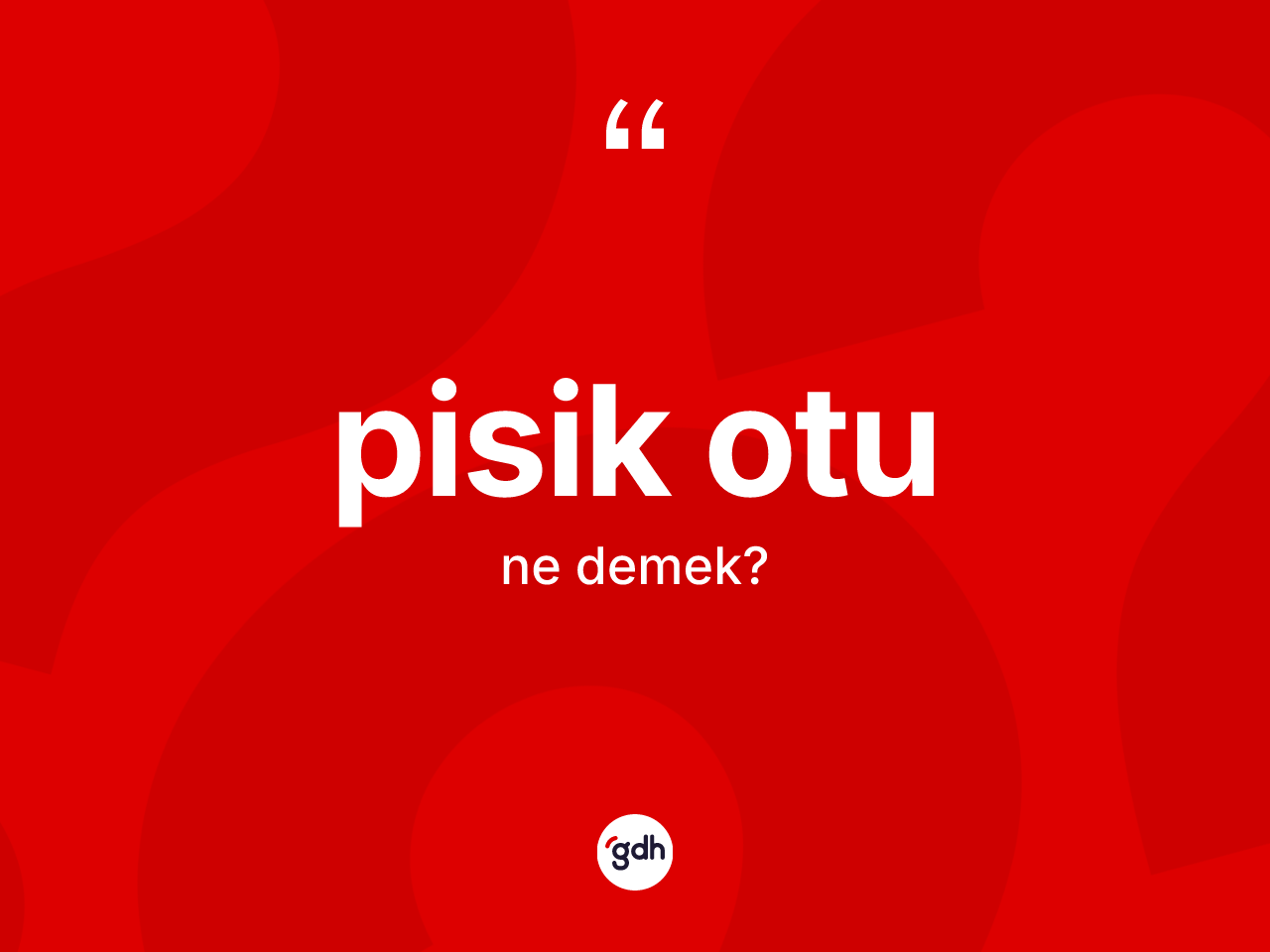 Pisik otu kelimesinin sözlükteki tanımı nedir? Pisik otunun halk arasındaki kullanımı nasıldır?