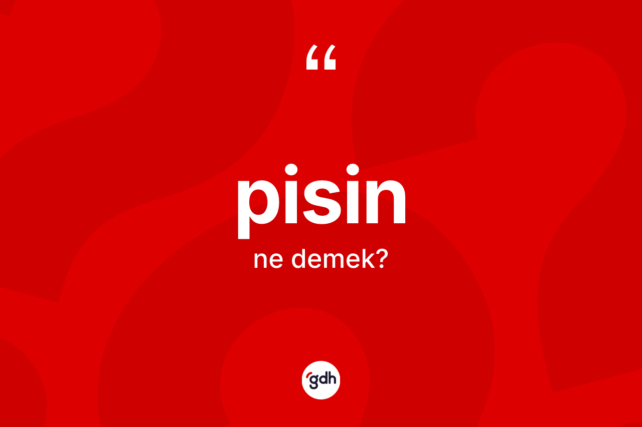 Pisin kelimesi ne anlama gelir? Pisinin TDK'ya göre anlamı nedir?
