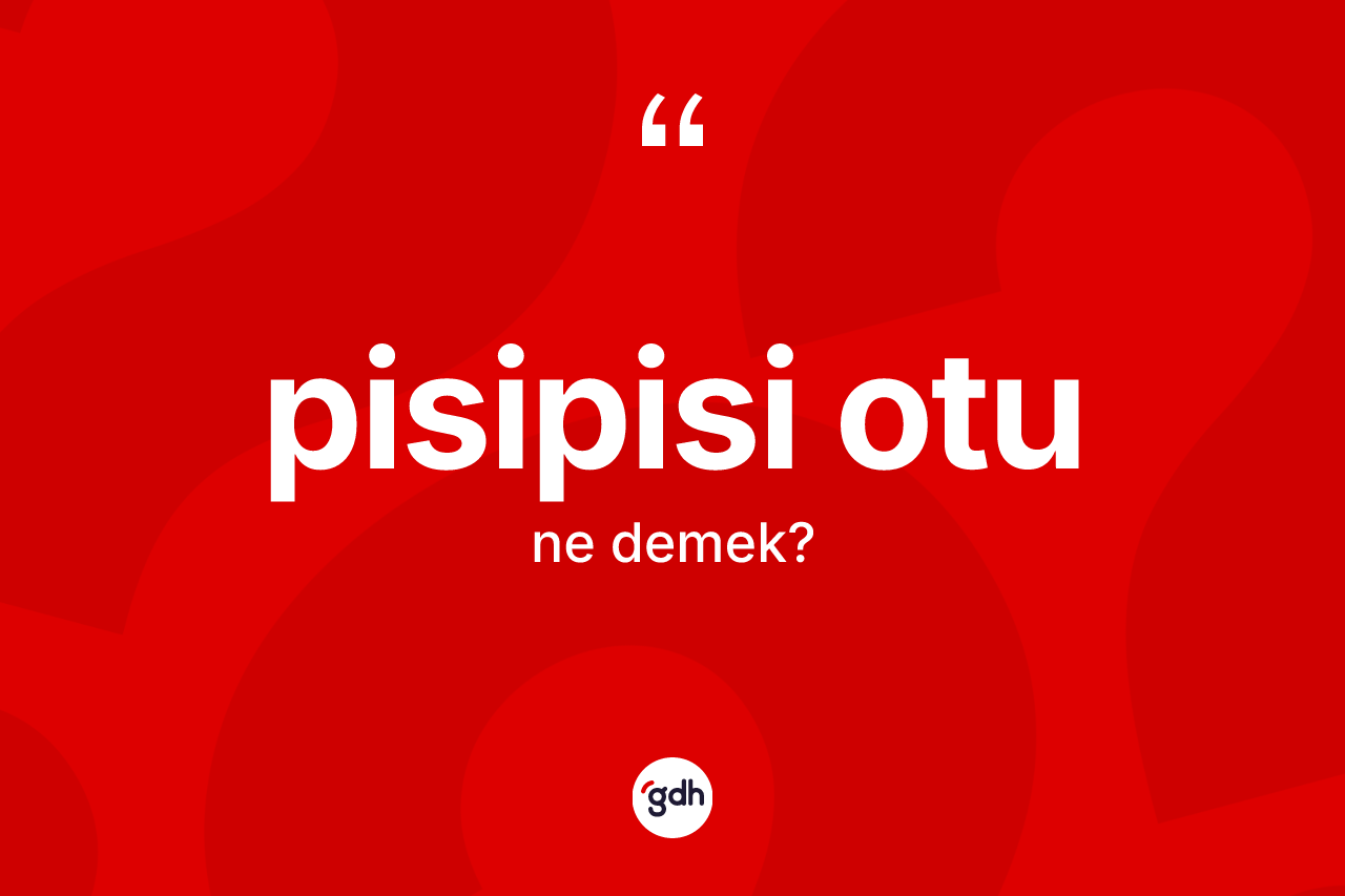 Pisipisi otu kelimesi ne anlama gelir? Pisipisi otunun TDK'ya göre anlamı nedir?