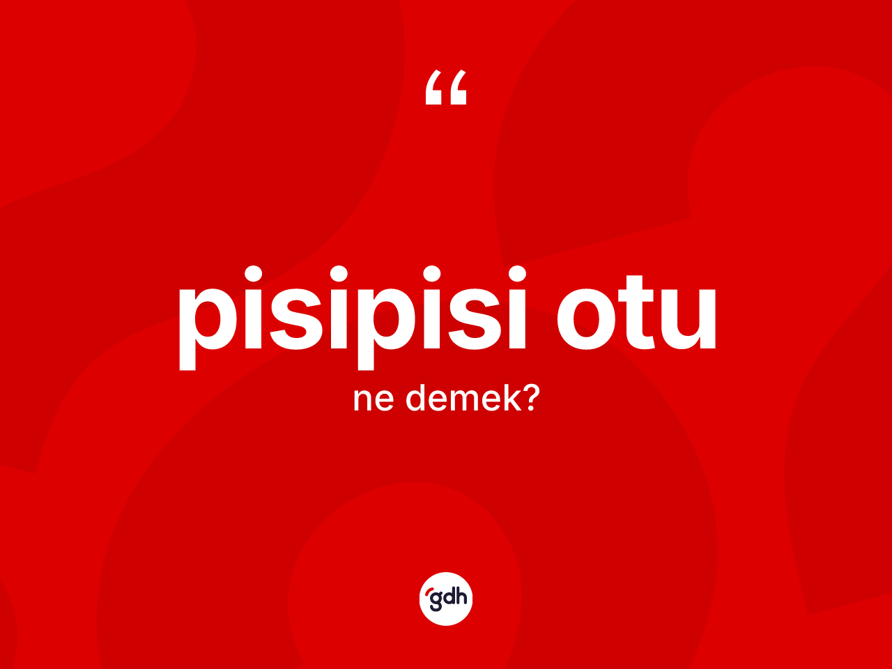 Pisipisi otu kelimesi ne anlama gelir? Pisipisi otunun TDK'ya göre anlamı nedir?