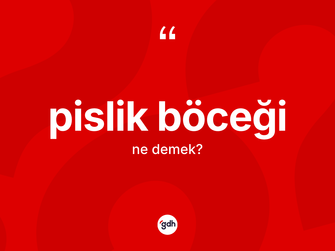 Pislik böceği ne demek? Pislik böceğinin TDK'ya göre anlamı nedir?