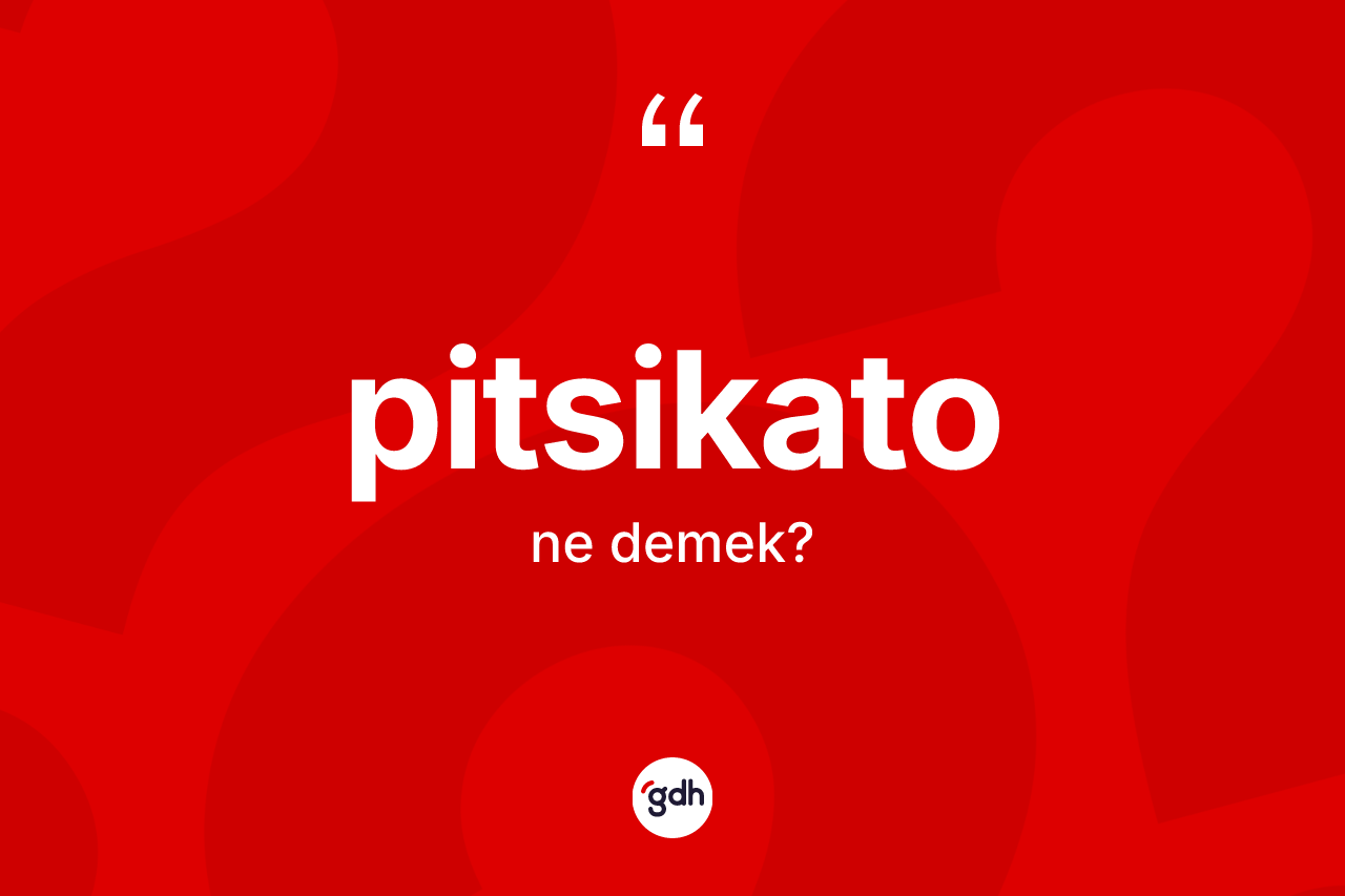 Pitsikato kelimesi ne anlama gelir?