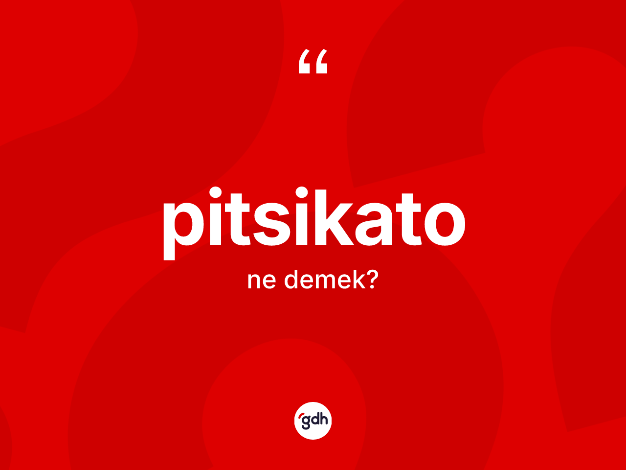 Pitsikato kelimesi ne anlama gelir? Pitsikatonun TDK'ya göre anlamı nedir?