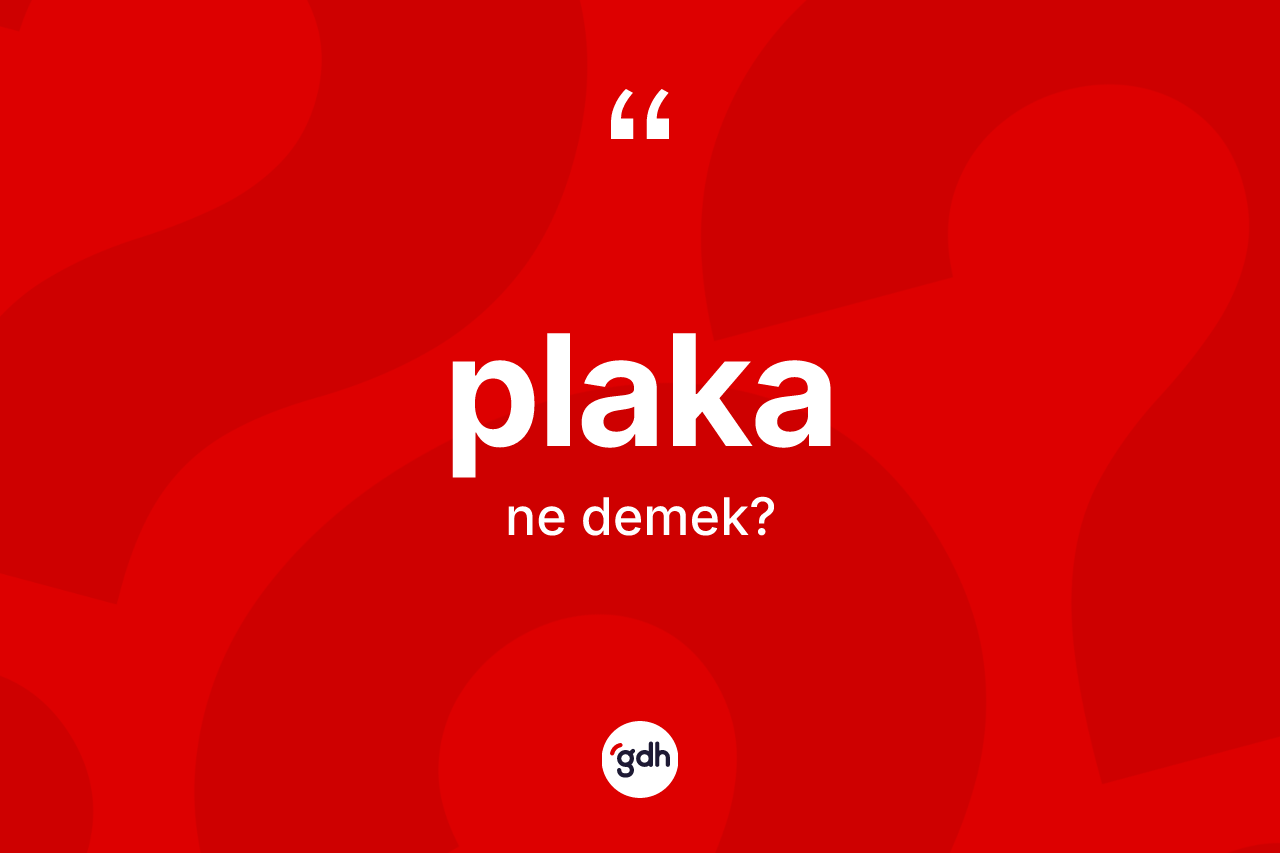 Plaka ne anlama gelir? Plakanın sözlükteki anlamı nedir?