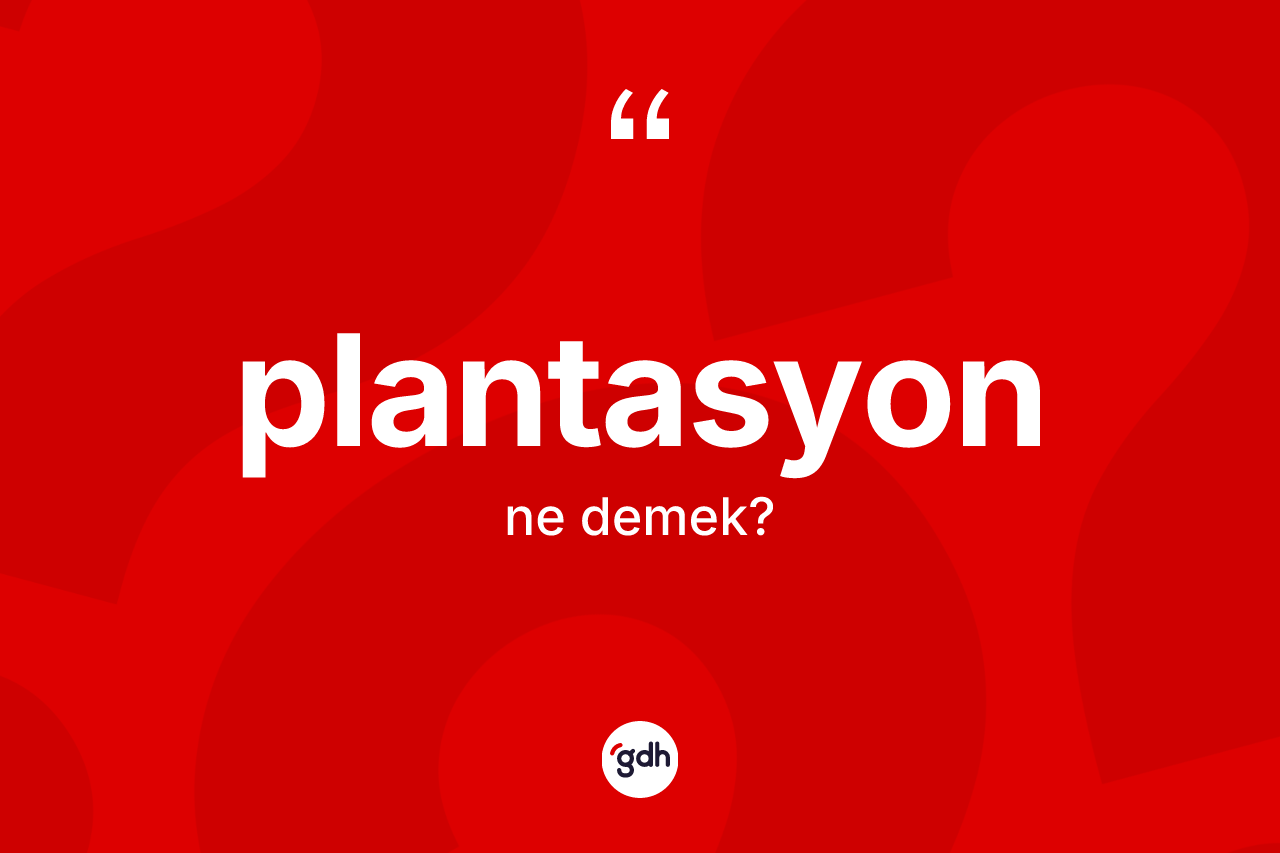 Plantasyon kelimesi ne anlama gelir? Plantasyonun TDK'ya göre anlamı nedir?
